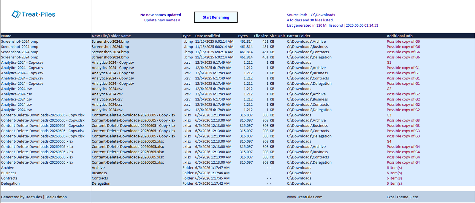 TreatFiles Excel Output